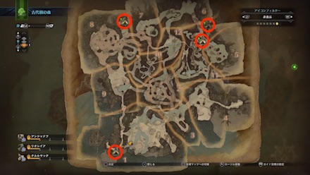 古代樹の森のキャンプ設営地一覧