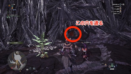 龍結晶の地エリア16のキャンプ設営地