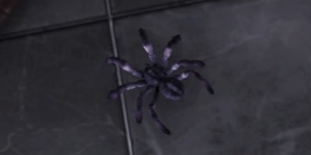 スカベンチュラの場所