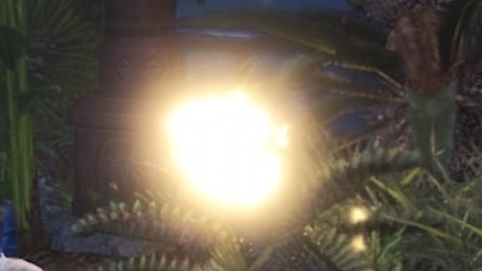 閃光羽虫の画像