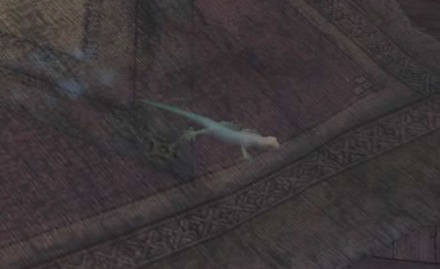 モリゲッコーの場所