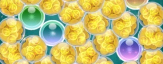 カプセルミッション