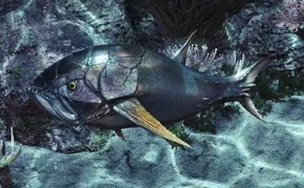 ドス大食いマグロ