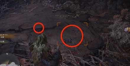 エリア2のスカベンチュラ