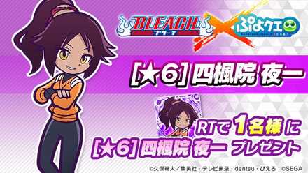 四楓院夜一の画像