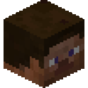 マイクラの頭