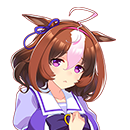 メイショウドトウの画像