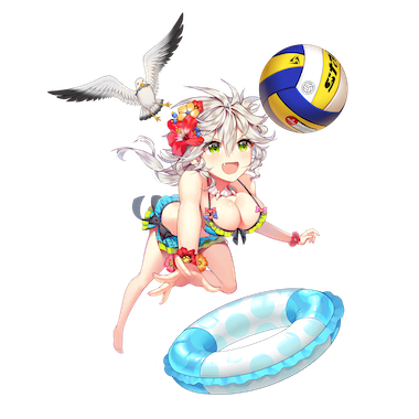 ［情熱ビーチ］張遼の画像