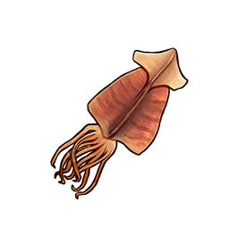 いちこお手製★スルメの画像