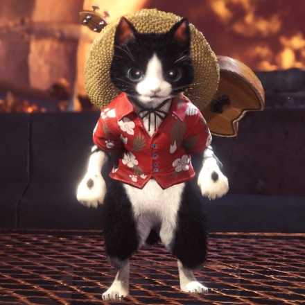 アロハネコ装備の画像