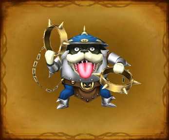 ワンダーフールの画像