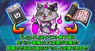 左ペットレムレスについて