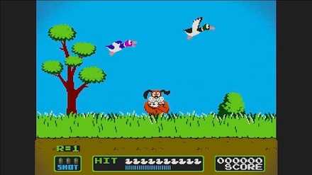 ダックハントの画像