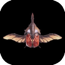 猟虫ザミールビートルⅠの画像