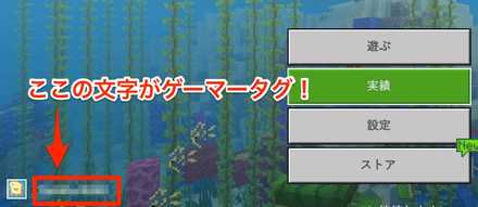 マイクラ ゲーマータグ 名前 表示名 の変え方 マインクラフト