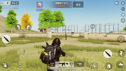 頭へのダメージ 画像