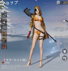 サマーヒット画像