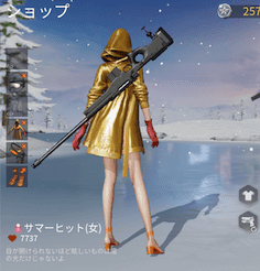 サマーヒット画像