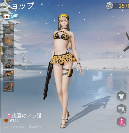 炎夏のノラ猫画像