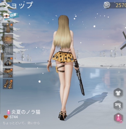 炎夏のノラ猫画像