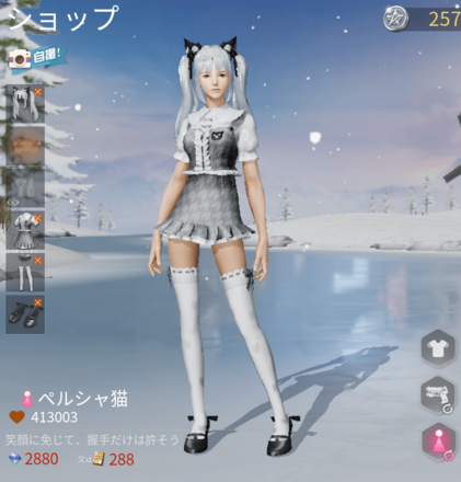 ペルシャ猫画像