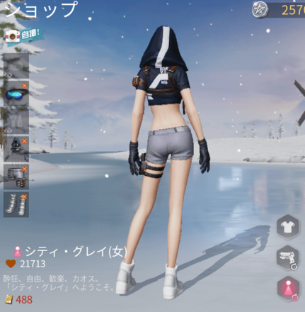 シティ・グレイ画像