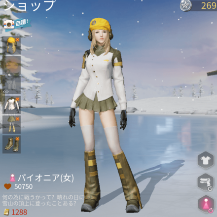 パイオニア画像