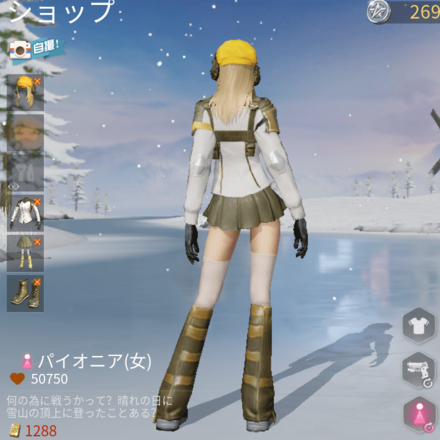 パイオニア画像