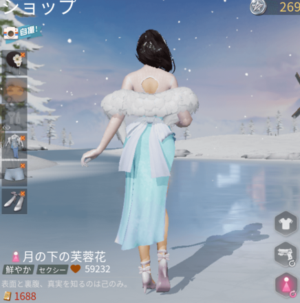 月の下の芙蓉花画像