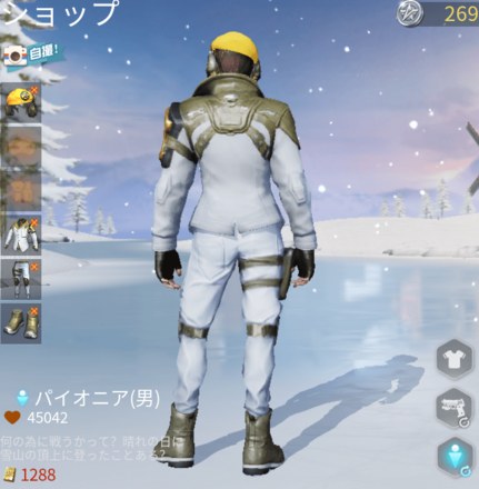 パイオニア画像