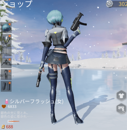 シルバーフラッシュ画像