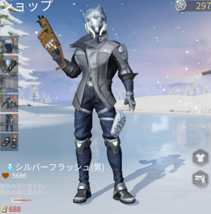 シルバーフラッシュ画像