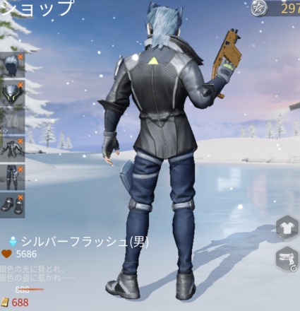 シルバーフラッシュ画像