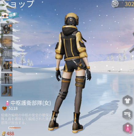 中枢護衛部隊画像