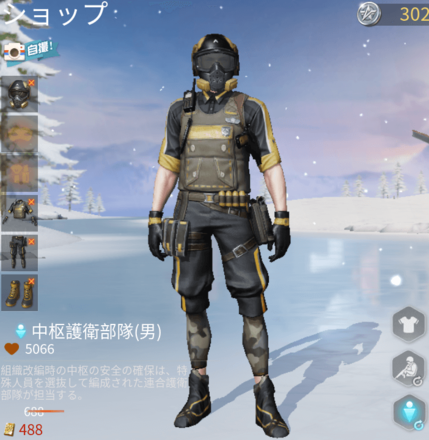 中枢護衛部隊画像