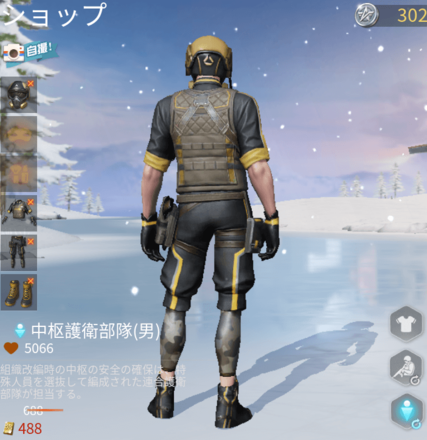 中枢護衛部隊画像