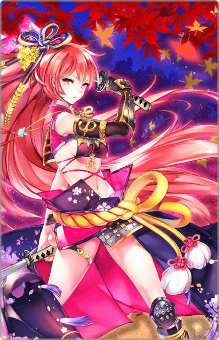 宮本武蔵の画像