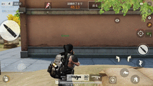 95 .gif