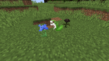 マイクラの新種の花