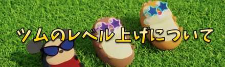 ツムのレベル上げ.jpg