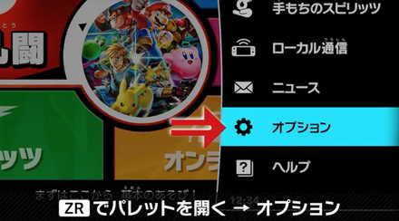 システム・オプション