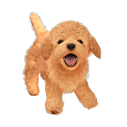 スマブラSPのニンテンドックスの画像