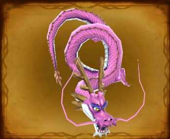 サラマンダーの画像