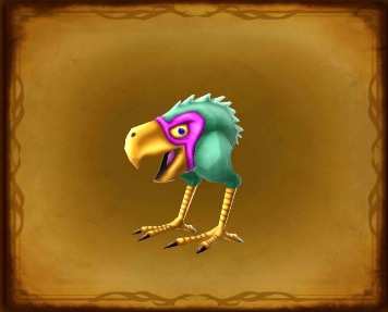 アカイライの画像