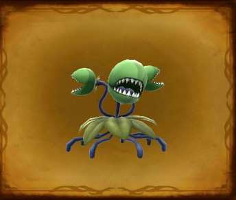 マンドレイクの画像