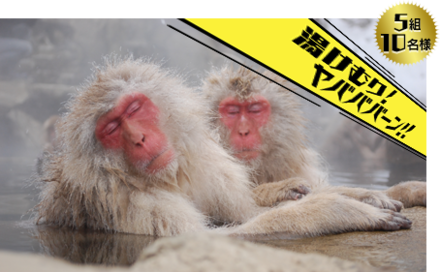 ヤバい国内ペア旅行