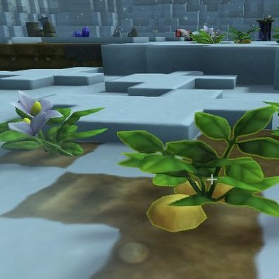 ジャガイモ