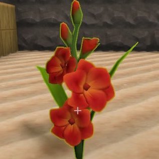 グラジオラス