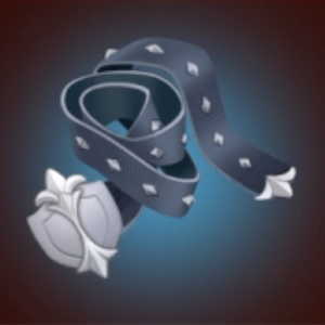 ディフェンスベルトの画像