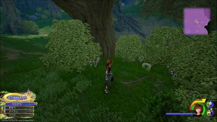 オールキュアの場所（森/丘陵）